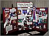 Maine Coon Display at MCCC Show